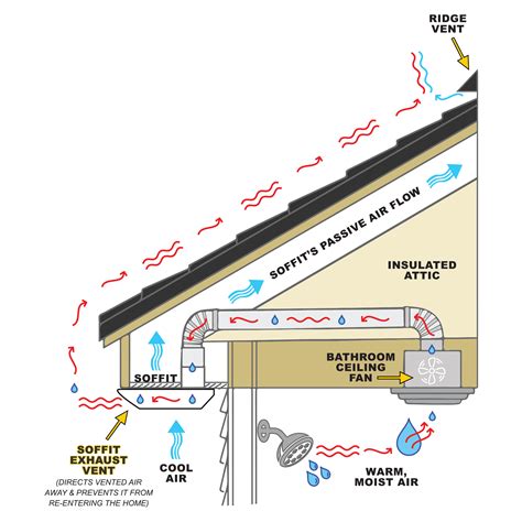 Infographic showing the ideal balance of ridge and eave vents for effective natural ventilation in a building.