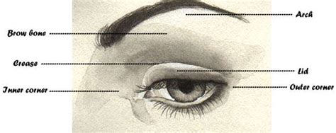 Image demonstrating highlighting the brow bone and inner corner of the eye.