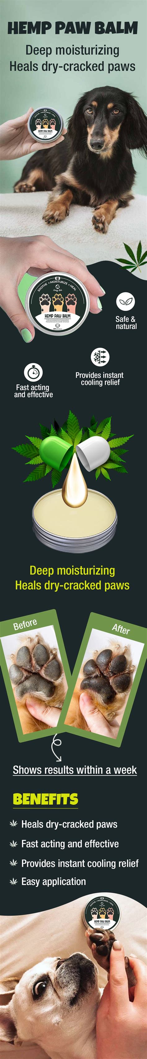 Infographic showing the steps for applying paw balm to a dog.