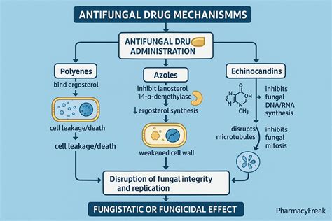 Illustration showing the mechanism of action of antifungal powders on skin