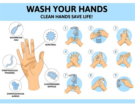Diagram showing the proper application of moisturizers to hands, emphasizing moisturizing after washing and before bed.