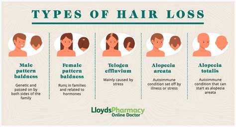 Diagram showing common causes of hair loss.