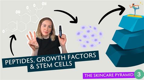 Infographic illustrating the action of growth factors and peptides on skin cells