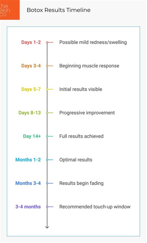 Infographic showing timeline of Botox results and potential side effects