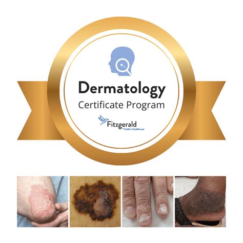 Collage of photos of the Physician Assistants and Nurse Practitioners at Bay Dermatology.