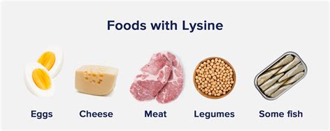 A selection of foods rich in lysine, such as fish, meat, dairy, and eggs