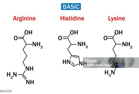 Diagram illustrating the interaction between lysine and arginine in the context of HSV-1 replication