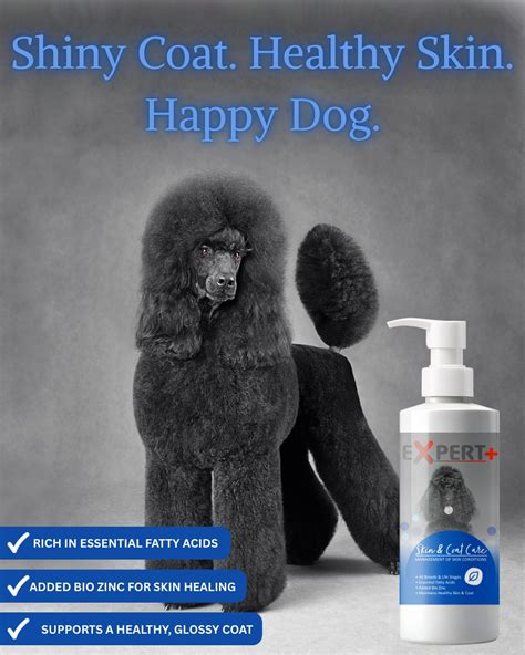 Illustration of a happy dog with a shiny coat and healthy skin