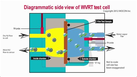 Cross-section of a WVTR test cell