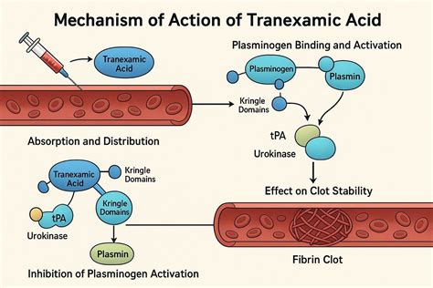 Diagram illustrating the synergistic effect of combining tranexamic acid with other skincare ingredients