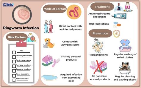 An infographic illustrating various transmission routes of ringworm: person-to-person, animal-to-human, object-to-human, and soil-to-human.