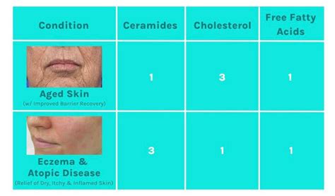 Diagram illustrating the 3:1:1 ratio of ceramides, cholesterol, and free fatty acids for optimal skin barrier function.