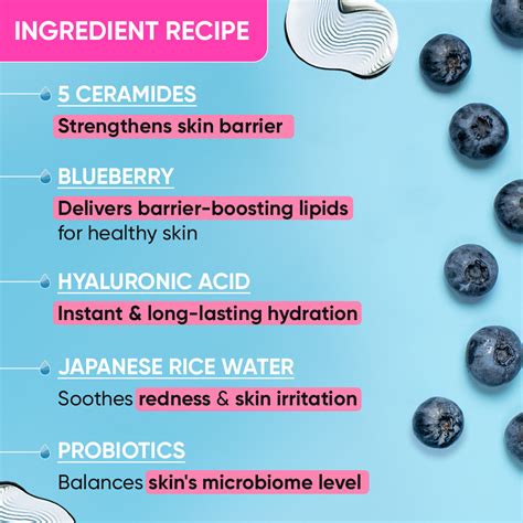 Infographic showing key moisturizing ingredients like ceramides, hyaluronic acid, and shea butter.