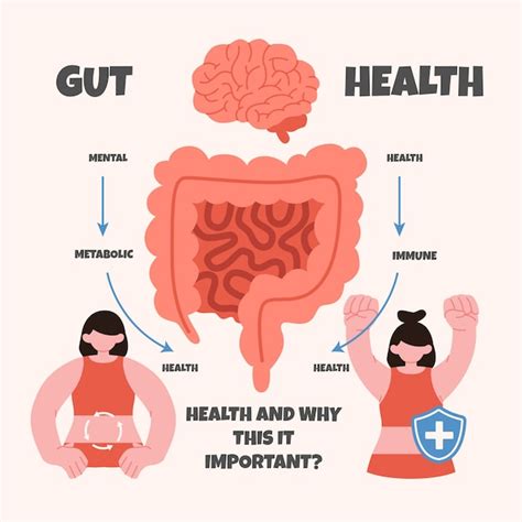 A graphic illustrating the interconnectedness of diet, gut health, and immune function in combating parasites.