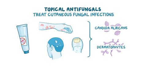 Infographic illustrating how different antifungal active ingredients work to combat fungal growth