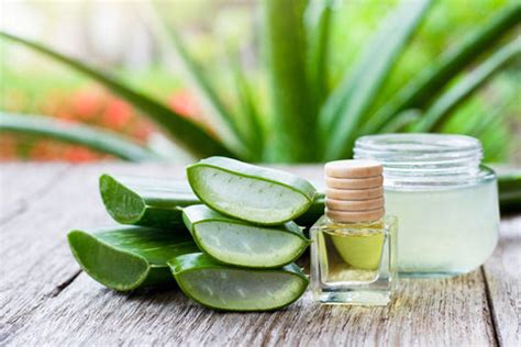 Infographic showing the functions of key ingredients like Zinc Oxide, Shea Butter, and Aloe Vera