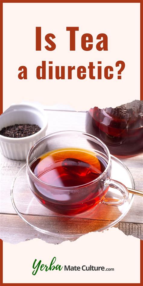 Infographic showing the diuretic effect of hibiscus tea and strawberries