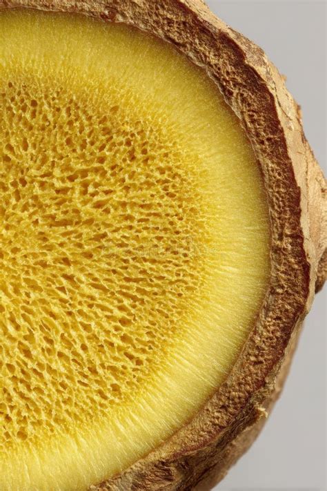 Cross-section of ginger root showing its texture