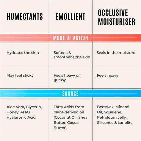 Infographic illustrating the difference between humectants and emollients in skincare.