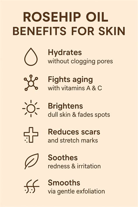 Diagram showing how fatty acids in rosehip oil strengthen skin cell walls to prevent moisture loss.