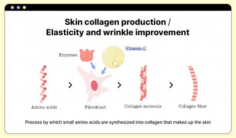 Illustration depicting the role of vitamin A in collagen production and skin elasticity.
