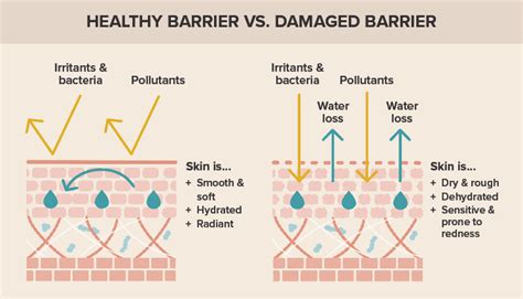 Illustration comparing the pH balance of facial cleansers and bar soaps, highlighting potential skin barrier damage from high-pH bar soaps.