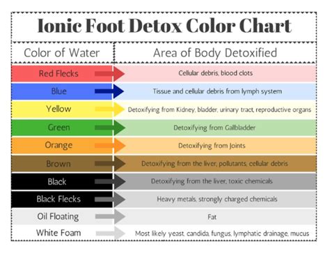 Diagram illustrating improved blood flow in the lower extremities after an ionic foot bath.