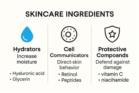 Infographic showing common skincare ingredients and their functions