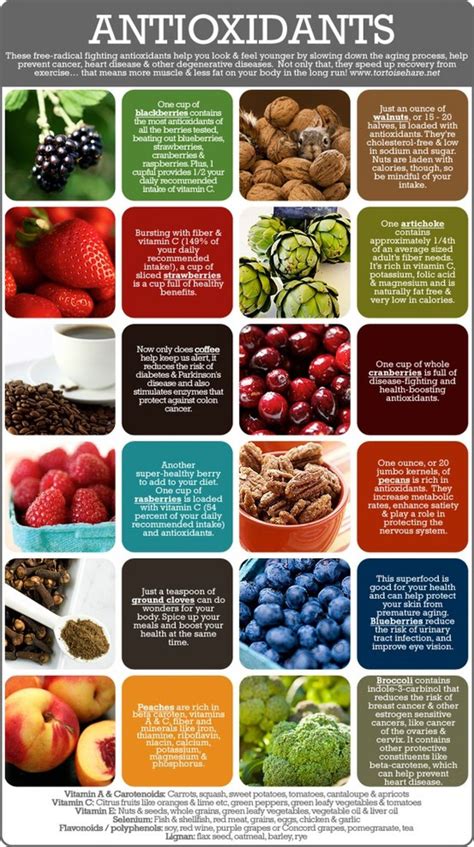 Infographic showing foods rich in antioxidants beneficial for skin health