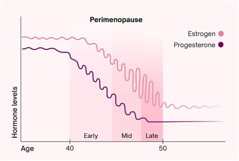 Diagram showing the hormonal changes (estrogen decline) associated with perimenopause and menopause and their effect on vaginal tissue.