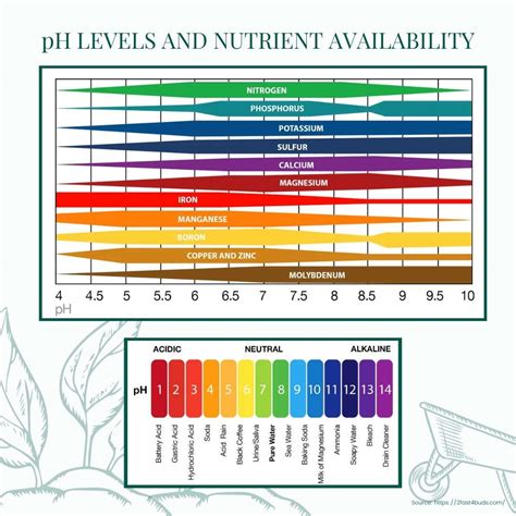 Chart comparing pH levels and osmolality of healthy vs. unhealthy vaginal environments.