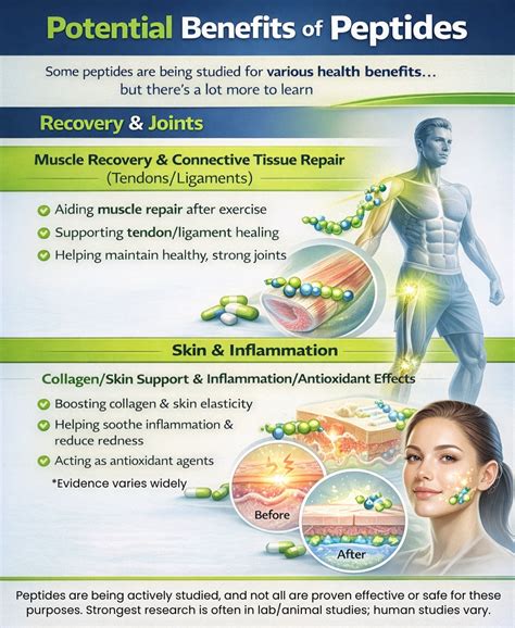 Visual representation of collagen peptides benefits for skin, joints, and muscles