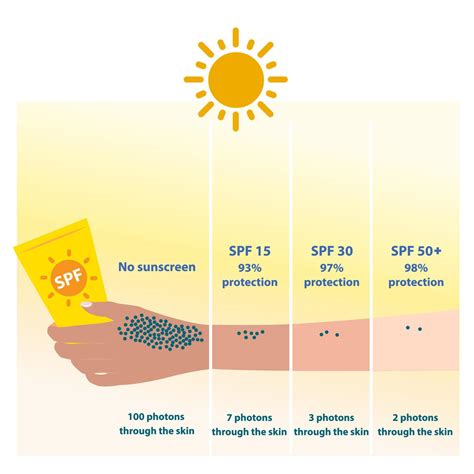 Infographic illustrating the difference in UVB ray protection between SPF 30 and SPF 50.