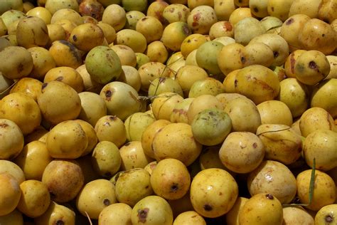 Close-up photo of Marula fruit and its kernels, highlighting the source of the oil.