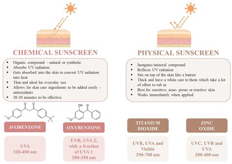 Illustration comparing mineral and chemical sunscreen filters