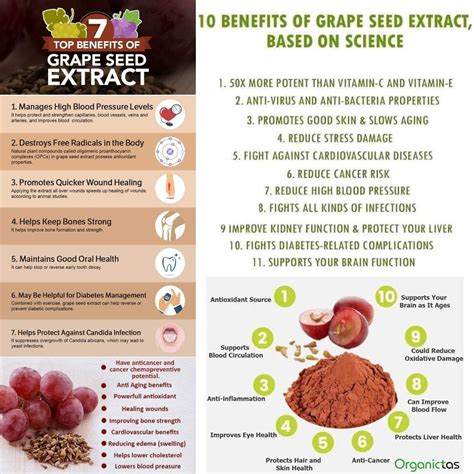 Infographic illustrating the key antioxidant compounds found in grape seeds and their general benefits.
