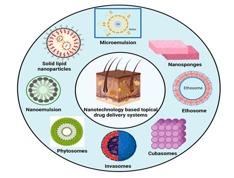 Diagram illustrating how nanoformulations like hyalurosomes enhance the delivery of grape seed extract into the skin.