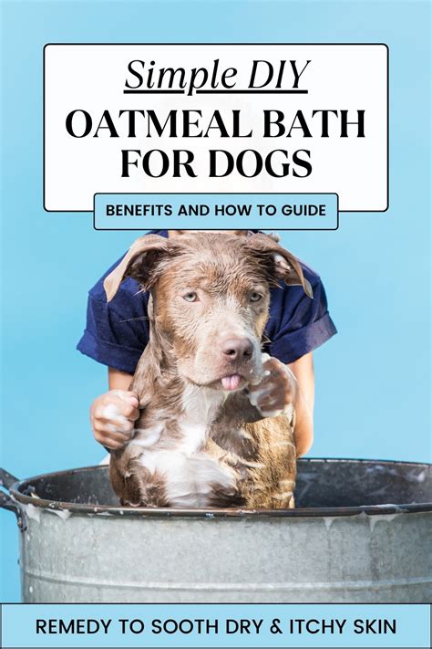 Image of a dog enjoying a soothing oatmeal bath