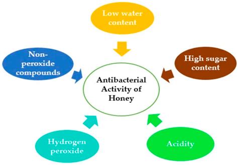 Infographic illustrating the antibacterial properties of honey and its potential mechanisms of action against acne-causing bacteria.