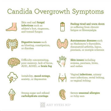 Infographic detailing common symptoms of Candida overgrowth, categorized by affected body system (gastrointestinal, skin, oral, vaginal, systemic).