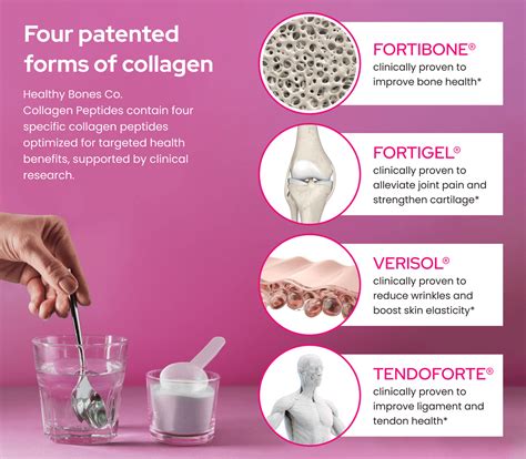 Infographic illustrating the potential benefits of collagen for skin, bones, joints, and hair