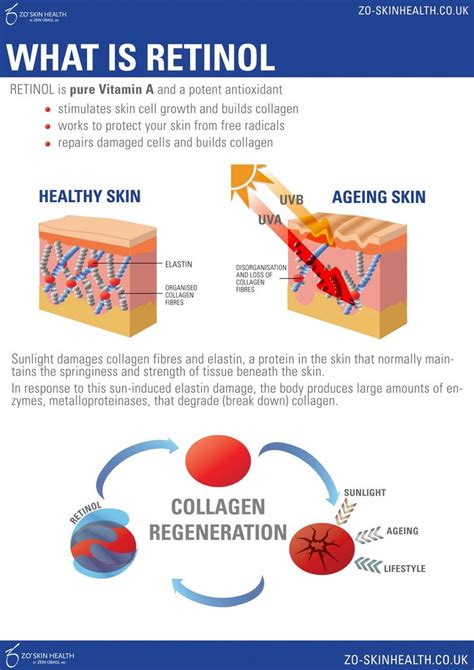 Infographic explaining how retinol works on skin cells