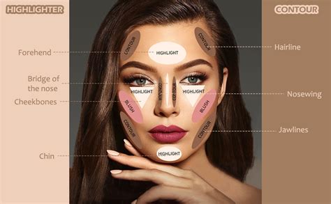 A graphic illustrating the key areas of the face where bronzer and highlighter should be applied for a natural sun-kissed effect.