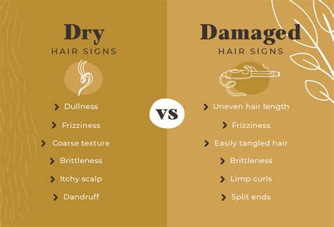 Infographic illustrating common causes of dry hair: environmental factors, heat styling, chemical treatments, and harsh products.