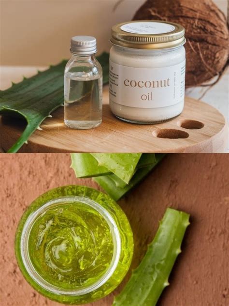 Collage of key moisturizing ingredients: aloe vera, coconut oil, shea butter, glycerin, honey, avocado oil, olive oil.