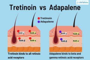 Infographic illustrating the mechanism of action of adapalene on skin cells and the cell cycle.