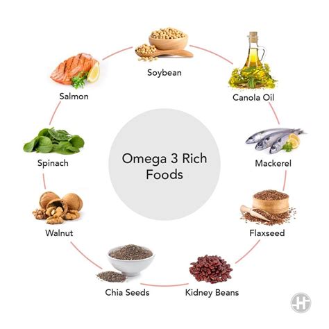 Infographic showing foods rich in omega-3 and omega-6 fatty acids beneficial for dog skin.