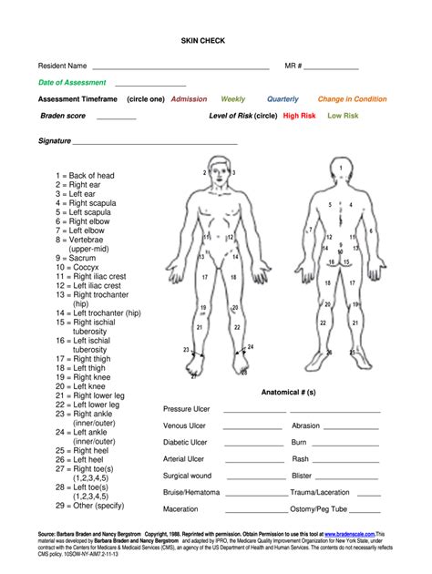 illustration demonstrating areas of the body to be examined during a full-body skin check