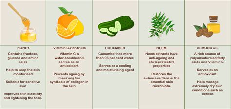An infographic showing common antifungal ingredients and their benefits.