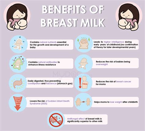 Infographic illustrating the key components of breast milk and their potential benefits for skin.